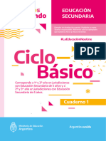 1 Ciclo Básico