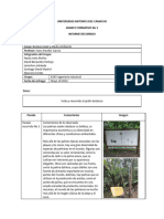 FORMATO INFORME AVANCE No 2.docx - Compressed