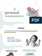 Asfixia Perinatal