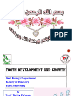 Tooth Development and Growth One Lecture 2023