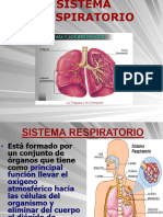 Clase Nº9 Sistema Respiratorio