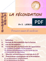 DR S - Lebouabi