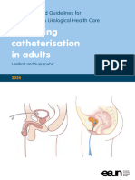 EAUN Guideline Indwelling Catheterisation 2024