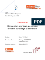 Rapport de Stage Marion - V Finale