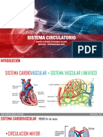 Sistema Cardiovascular