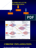 Outcomes of Acute Inflamm and CI