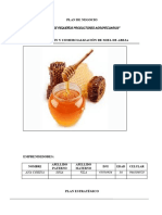 Plan de Negocio Miel de Abeja