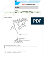 CyT 3° - FICHA 11 DE JUNIO