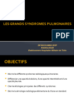 Les Grands Syndromes Pulmonaires