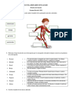 Practica Ciencias Parcial 12024