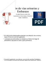 Infeccion de Vias Urinarias y Embarazo