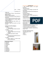 Enterobacteriaceae