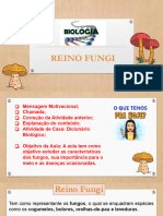 Reino Fungi