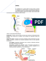 TEMA 17