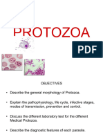 PROTOZOA