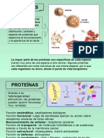 PROTEINAS y Ac - Nucleicos