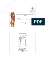 PDF Clase N - 8 Arterias Axial Apendicular IAF UST 2020