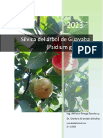 000 Silvica de Guayaba