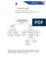 Academia Histología Vegetal