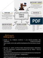 Organizador Gráfico - Hábeas Corpus