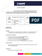 Formato Publicacion Terapeuta Ocupacional Csfel Abrazo