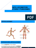 A. L. - Estruc. y Func. - Articulaciones