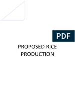 Project Proposal On Rice Production 1 5