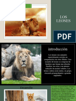 Los Leones