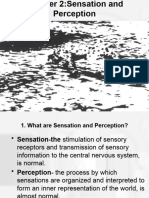 CH 2 Sensation&Perception