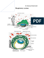 Embryo. Lec.1 The Nasal Region