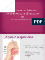 Infecciones Bacterianas