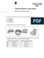 Taller de Ejercitacion N1