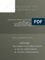 Tinywow Inflammation 17791543