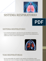 Sistema Respiratorio Modificado