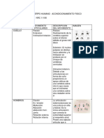 Movimientos Del Cuerpo Humano Acondicionamiento Fisico