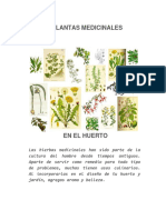 Plantas Chilenas Medicinales