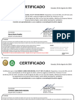 Certificado Cipa