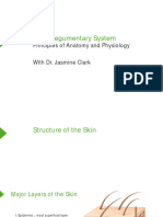 Slides Nursing Physiology The Integumentary System