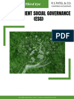 Environment Social Governance (ESG) : The Third Eye