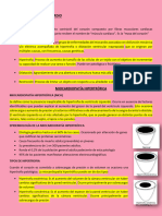 Clase 2. Fisiopatología Del Miocardio