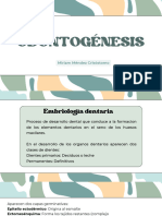 ODONTOGENESIS