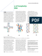 Chengde Mao - The Emergence of Complexity: Lessons From DNA