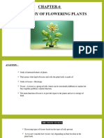 Anatomy of Flowering Plant