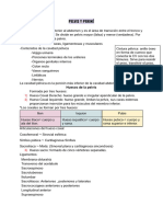 Copia de Tercer Examen Anato