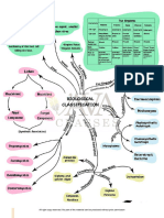 Biological Classification