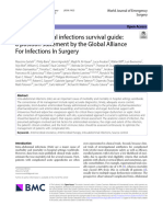 Intra-Abdominal Infections Survival Guide: A Position Statement by The Global Alliance For Infections in Surgery