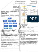 Anatomia y Fisiologuia Sem 04 - 2023 I