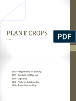 Plant Crops