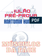 Pre Prova - Sistema Muscular