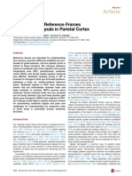 Parietal Cortex (5 Articles)